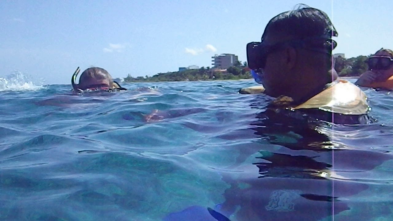 Snorkeling Cozumel Playa Uvas