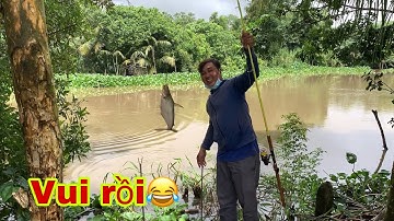 Câu Cá Tra Sông | Bãi Này Thì Cục Mồi Đầu Tiên Là Dính Liền | Fishing - Miền Tây