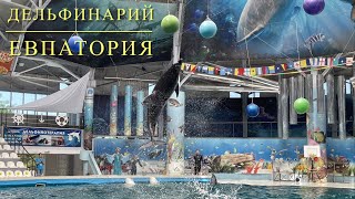 Дельфинарий Евпатории (Крым, 2022 год)