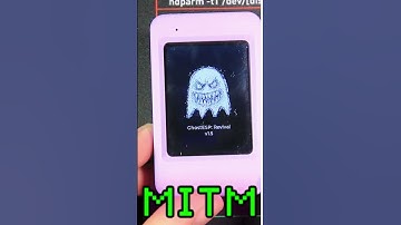 Ghost ESP Firmware on ESP32: Wireless Testing Powerhouse #GhostESP