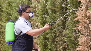 Insect and Pest Control Services Omaha Lincoln NE Council Bluffs IA| Eppley Handyman Services