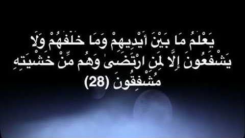 نبيل الصالح   .   مقتطفات من القرآن الكريم