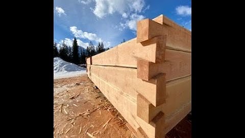 How to make a straight cut with a chainsaw; log cabin building tutorial #bclogschool #logcabin #log