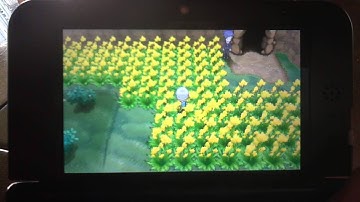 Live Shiny PsyDuck + Patch chain 40 (PokeRadar)