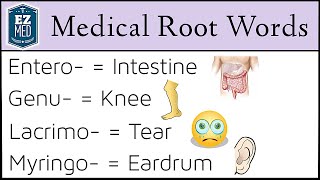 Medical Terminology: Root Words MADE EASY [Nursing, Students, Coding Classes] by EZmed 92,100 views 2 years ago 12 minutes, 5 seconds