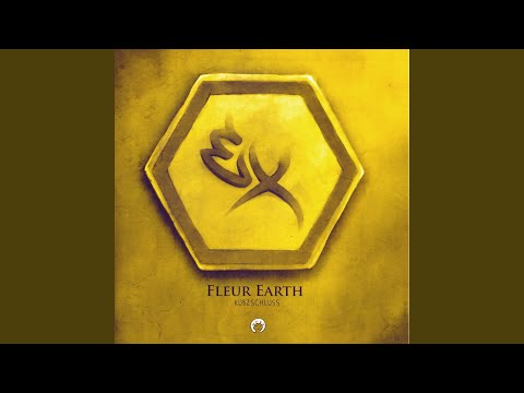 Fleur Earth — Ungreifbar
