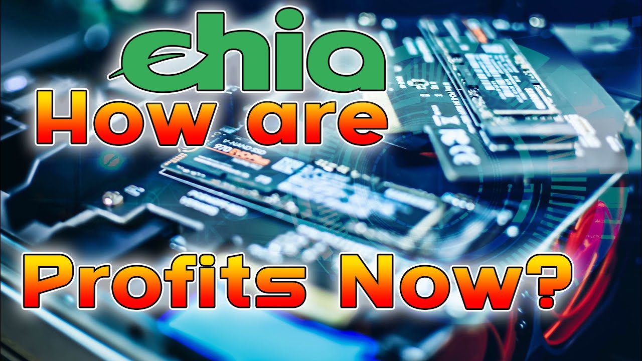 How are Chia Profits Now - 2022