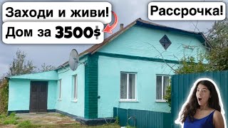 🇺🇦 Заходи и живи! Дом в селе за 3500$ Продажа недвижимости за копейки Всё есть! Уютное тихое село!