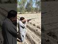 Wildlife Hunting Adventure with 12 Gauge Shotgun