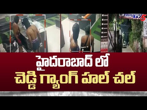 హైదరాబాద్ లో చెడ్డి గ్యాంగ్ హల్ చల్ | Cheddi Gang In Hyderabad |  Miyapur | Tv5 News - TV5NEWS