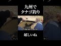 九州でタナゴ釣り。嬉しいね