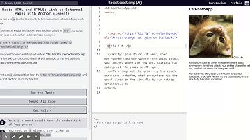 Learn Basic HTML and HTML5: Link to External Pages with Anchor Elements | freeCodeCamp.org 10