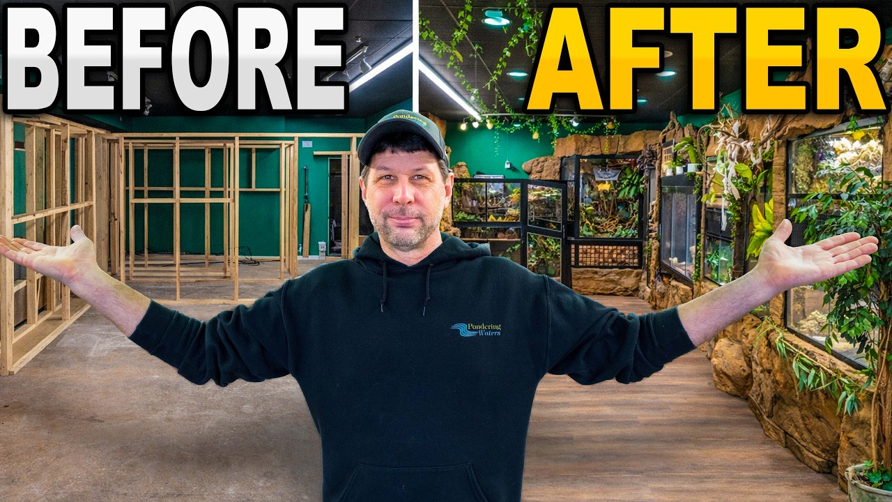 I Transformed This Reptile Room! Pt 2 - YouTube