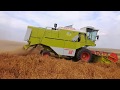 Claas Dominator 66,збирання врожаю гороху,сорт Астронавт # claas #claasdominator66