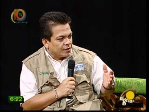 Entrevista Brigada Verde en programa 'Al Grano' -27-abril 2011.mpg