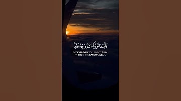 القارئ سعد الغامدي