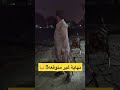 اطلاق نار عشوائي 