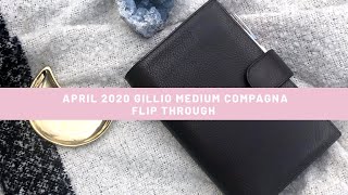 Gillio Medium Compagna Flip Through April 2020