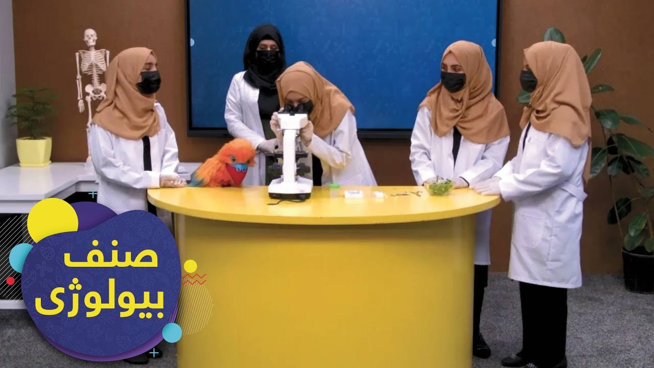 SENF - Biology Grade 7 - Episode 1 | صنف - اووم صنف بیولوژي -  درس ۱: حجره او میکروسکوپ
