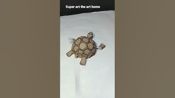 robot turtle with cardboard - Simple invention #shorts #short #viralshorts #crafting #inventions
