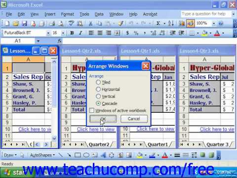 Excel 2003 Tutorial Organizing a Workspace Microsoft Training Lesson 15.4