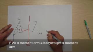 Free body diagram hip