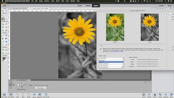 SOP - Black and White With Colour Selection in Photoshop Elements