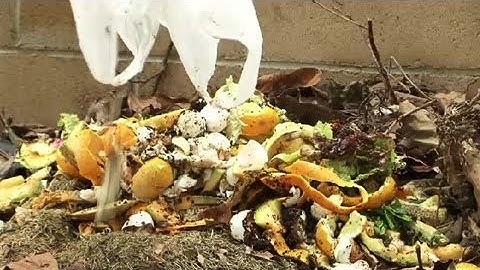 How to Compost Eggs : Composting