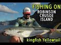 PESCA de PALOMETAS KINGFISH Fishing Isla Robinson Crusoe - SpinRock 2018