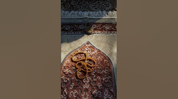 قَالَ لَا تَخَافَآۖ إِنَّنِي مَعَكُمَآ أَسۡمَعُ وَأَرَىٰ ٤٦♥سورة طه #تلاوة_خاشعة #رعد_الكردي