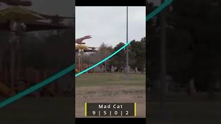 The Mad Cat - Lone Star Discs