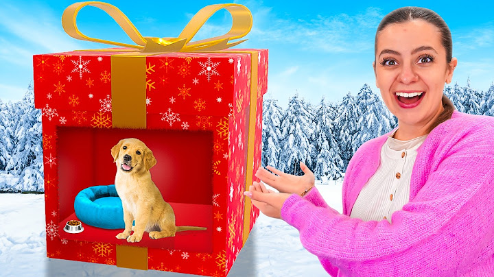REGALO da 1€ vs 100.000€ con Tutti i Nostri Amici!🎁