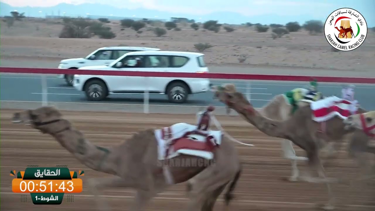 ميــدان الذيد - ش 1 الحقايق 17/01/2026 سرابه لـ سعيد حسن علي مصبح القايدي.  التوقيت: 