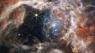 Pan of the Tarantula Nebula (NIRCam Image)