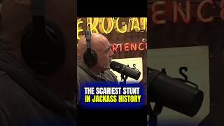 Joe Rogan Reacts To The Most Insane Jackass Stunt Ever #jre #joerogan