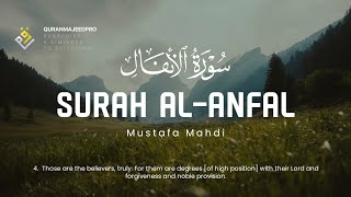 ❤😍 Mustafa Mahdi (مصطفى مهدي ) | Surah Al-Anfal 1-17 (سوره الانفال) 😍❤