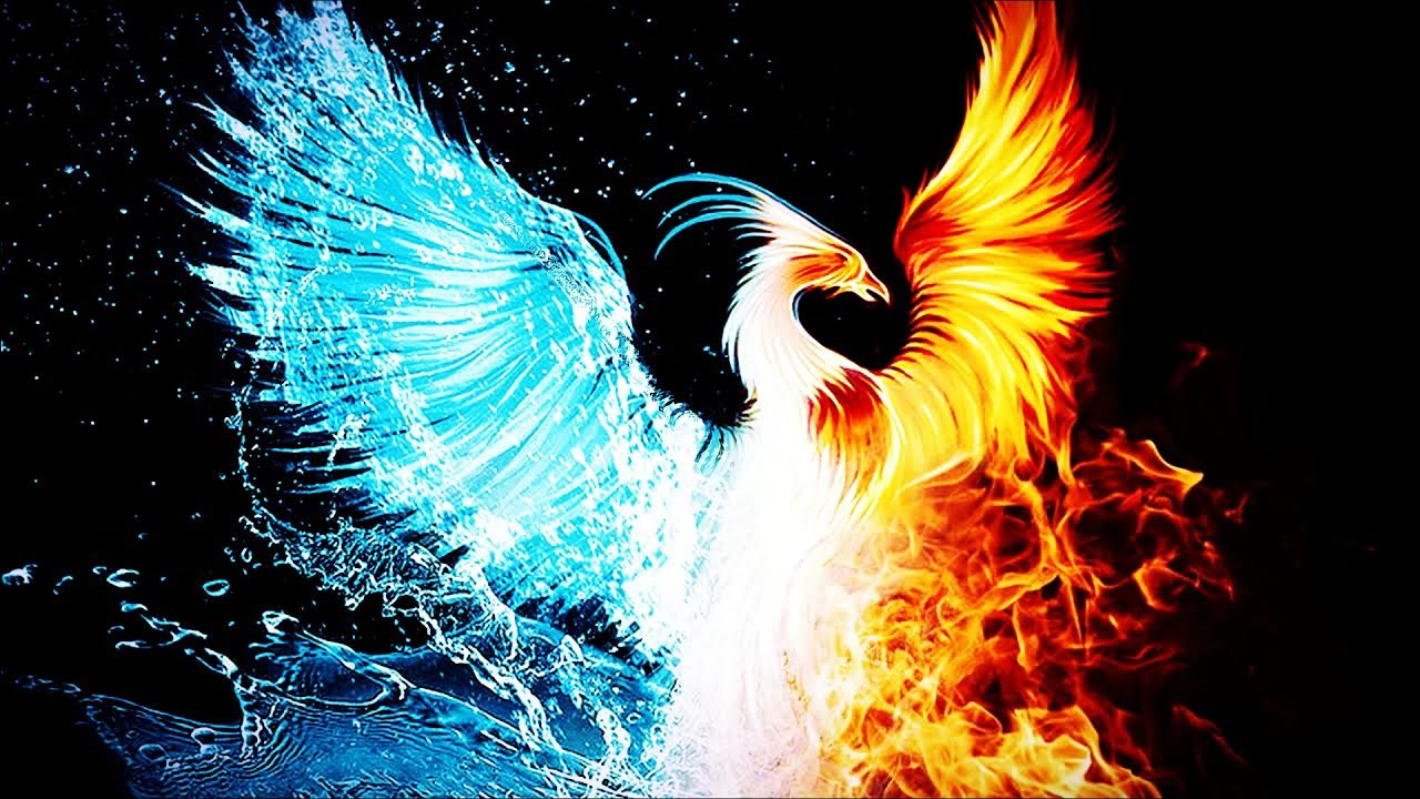 Fenix логотип. Огненная птица феникс. Птица феникс символ. Огненный сокол рарог. Phoenix bk.