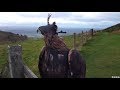Golden Eagle in North Wales Part 2