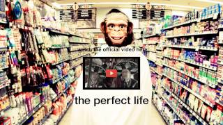 Miniatura de "Moby - The Perfect Life (Fuck Buttons Remix) - Audio"