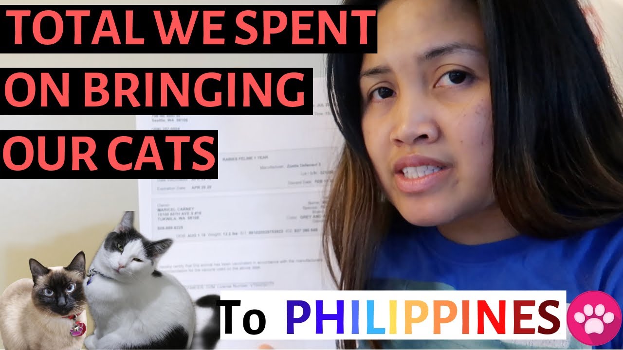 How Can I Bring My Dog To Philippines