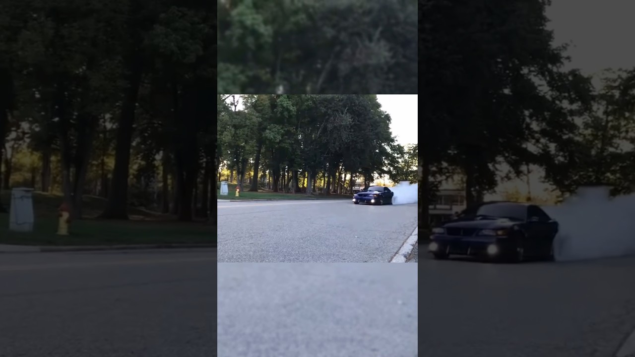 Sound of TERMINATOR Cobras is Pure JOY!! //