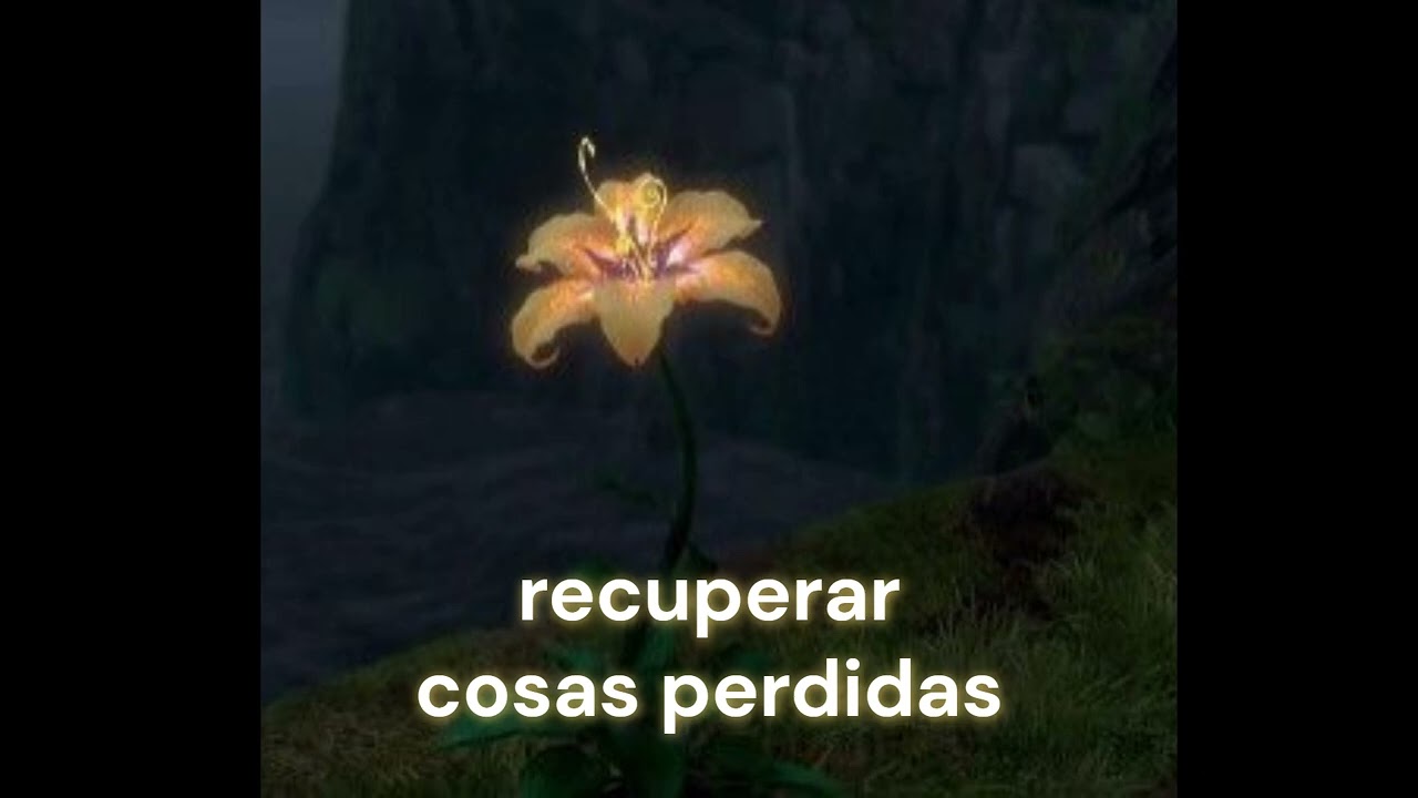 recuperar cosas perdidas // audio subliminal