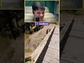 Смотри как надо Farcry5 смешныемоменты Shotrs Gaming Twitch 2023 Смотри как надо Farcry5 смешныемоменты Shotrs Gaming Twitch 2023