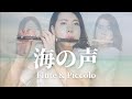 【フルート＆ピッコロ】海の声/BEGIN /桐谷健太【TAKE2】再UP