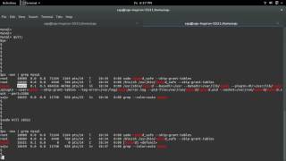 Reset a lost MySQL root password