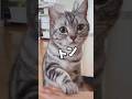 猫ちゃんの人生トントントンにゃ♪ #shorts