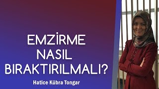 Bi̇r Yaş Sonrasi Anne Sütünü Biraktirma Süreci̇ Nasil Olmali?? Hatice Kübra Tongar
