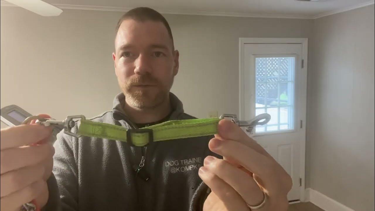 How to do a back up to your prong collar YouTube
