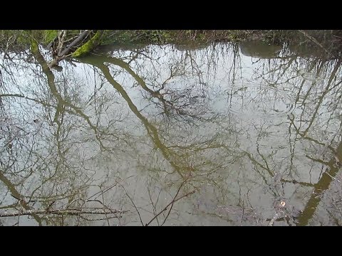 Video: On Tõendeid Selle Kohta, Et Vesi Koosneb Kahest Vedelikust - Alternatiivne Vaade