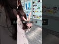 ＼話すだけで仕事が終わる／AI音声アシスタントTypeless🧏🏻‍♀️ #pr #typeless